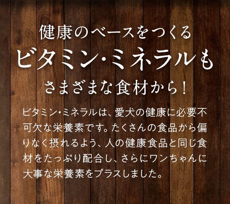 健康のベースをつくるビタミン・ミネラルもさまざまな食材から！