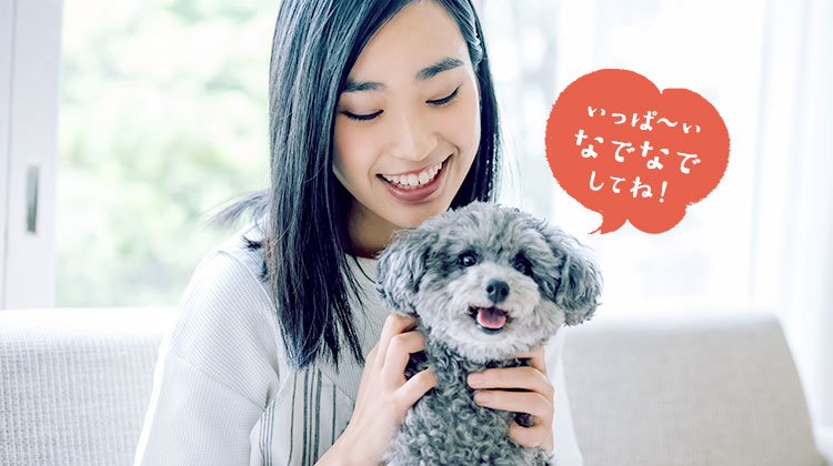 いっぱ〜いなでなでしてね！