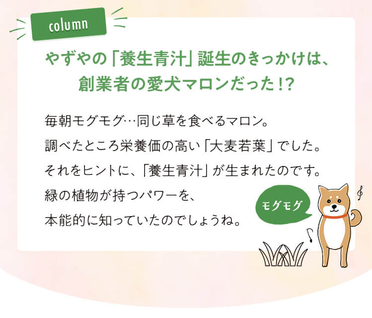 [column]やずやの「養生青汁」誕生のきっかけは、創業者の愛犬マロンだった！？