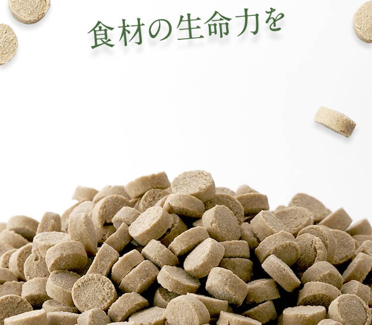 食材の生命力を