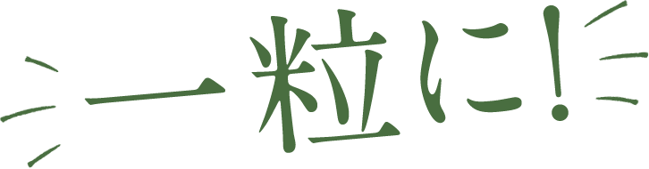 一粒に！