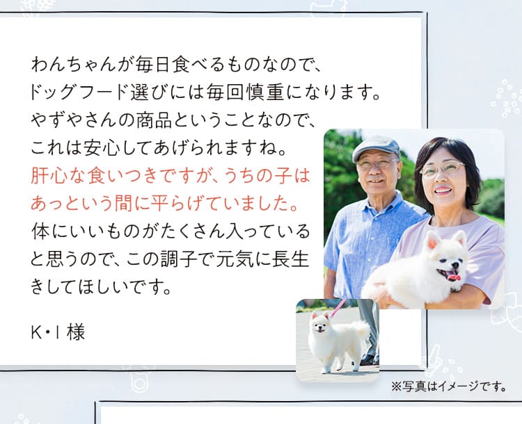 限定モニターの声