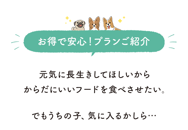 お得で安心！プランご紹介