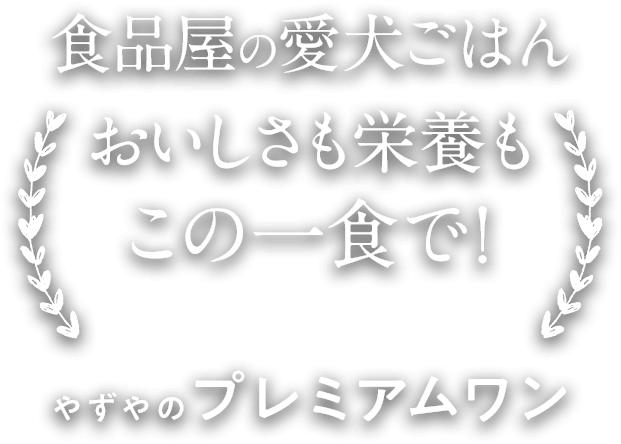 食品屋の愛犬ごはんこの一食で！