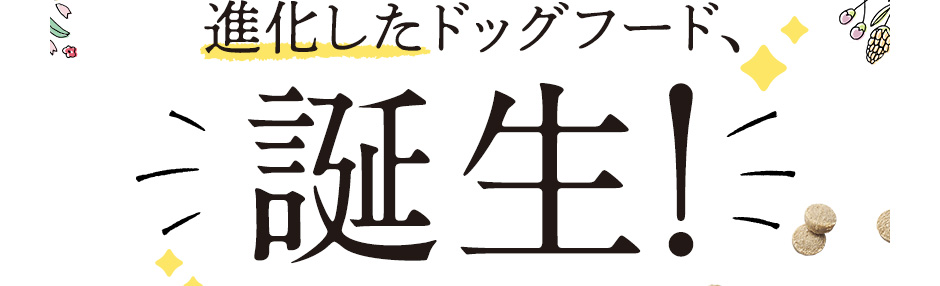 進化したドッグフード、誕生！