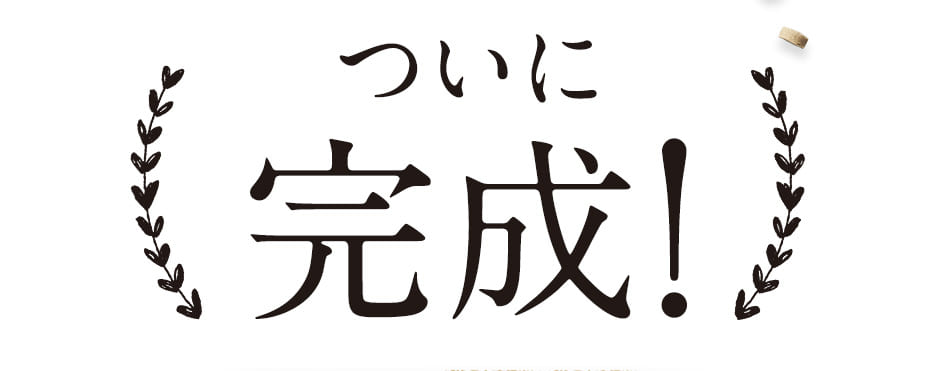 ついに完成！