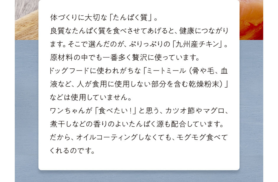 体づくりに大切な「たんぱく質」。良質なたんぱく質を食べさせてあげると、健康につながります。そこで選んだのが、ぷりっぷりの「九州産チキン」。原材料の中でも一番多く贅沢に使っています。ドッグフードに使われがちな「ミートミール（骨や毛、血液など、人が食用にだから、オイルコーティングしなくても、モグモグ食べて使用しない部分を含む乾燥粉末）」などは使用していません。ワンちゃんが「食べたい！」と思う、カツオ節やマグロ、煮干しなどの香りのよいたんぱく源も配合しています。だから、オイルコーティングしなくても、モグモグ食べてくれるのです。