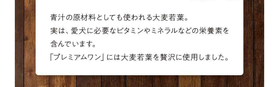 青汁の原材料としても使われる大麦若葉。実は、愛犬に必要なビタミンやミネラルなどの栄養素を含んでいます。