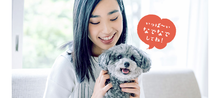 いっぱ~いなでなでしてね!