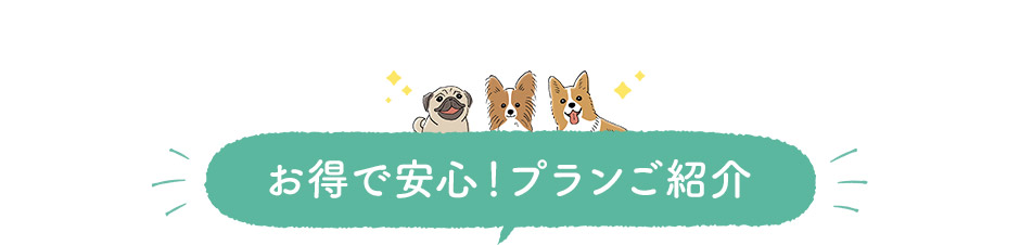 お得で安心!プランご紹介