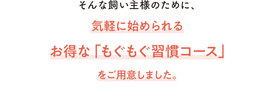 お得な「もぐもぐ習慣コース」