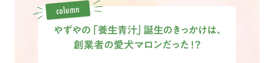 やずやの「養生青汁」誕生のきっかけは、創業者の愛犬マロンだった!?
