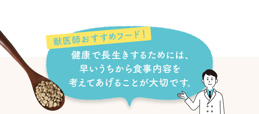 [獣医師おすすめフード！]健康で長生きするためには、早いうちから食事内容を考えてあげることが大切です