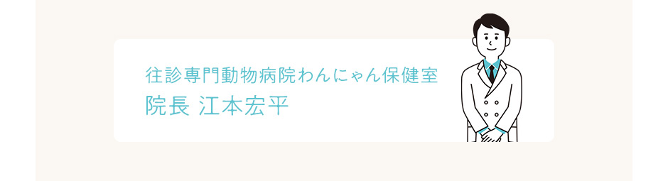 往診専門動物病院わんにゃん保健室｜院長 江本宏平