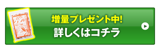 今すぐ、お得に申込む