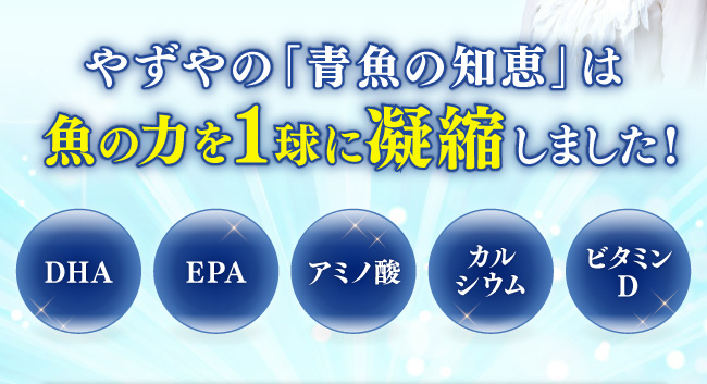 やずやの『青魚の知恵』は魚の力を1球に凝縮しました！ DHA・EPA・アミノ酸・カルシウム・ビタミンD