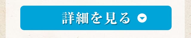 詳細を見る