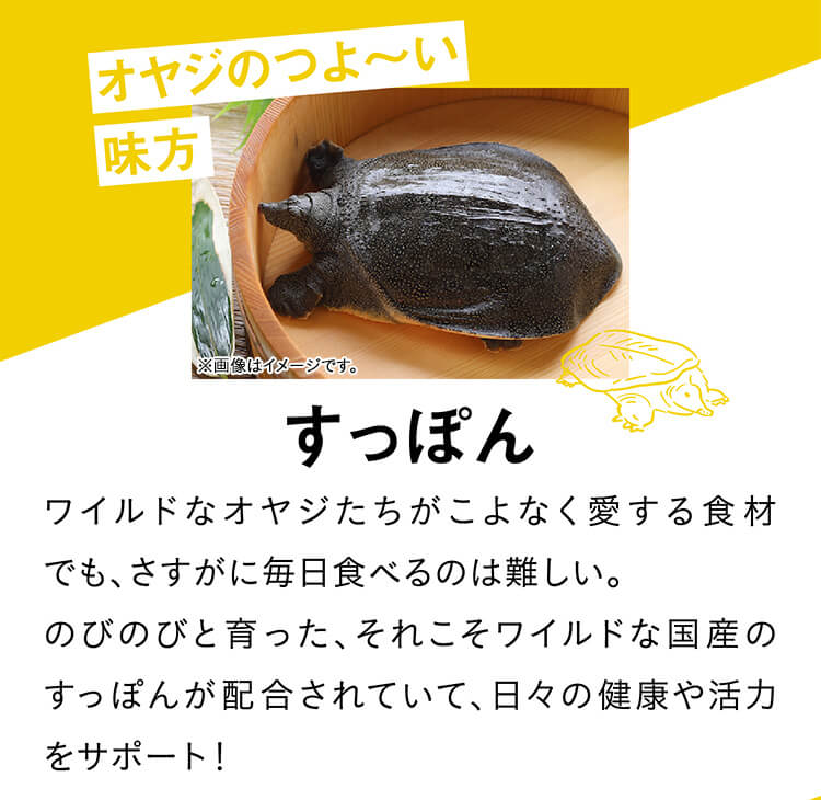 すっぽん