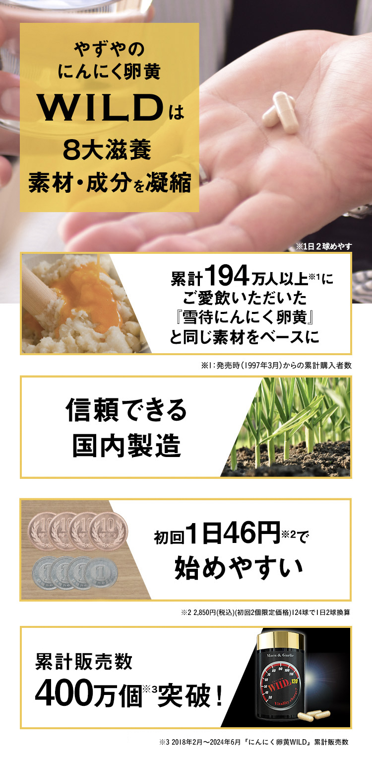 やずやのにんにく卵黄WILDは5大滋養素材・成分を凝縮