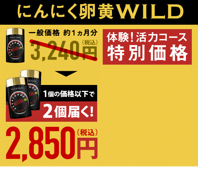 にんにく卵黄WILD 体験！活力コース 約2ヵ月分の2個セットで初回半額以下 特別価格2,700円+税
