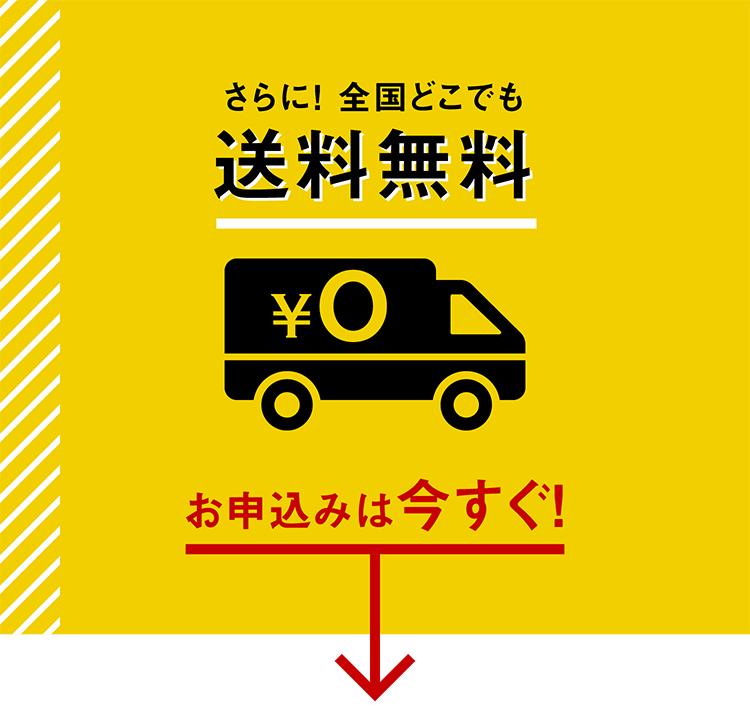 さらに! 全国どこでも送料無料