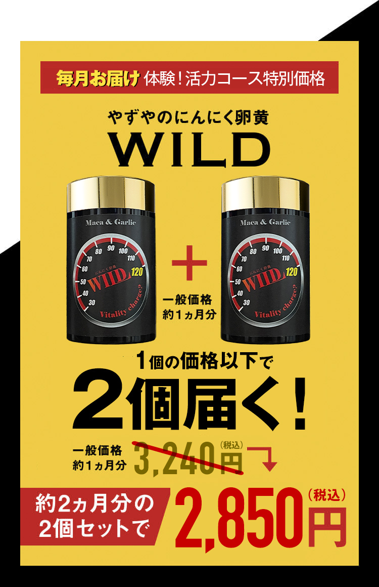 体験!活力コース特別価格 やずやのにんにく卵黄WILD 約2ヵ月分が初回半額以下!