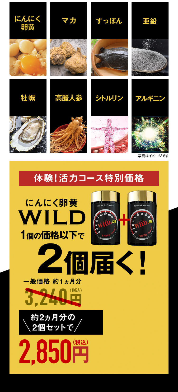 体験!活力コース特別価格 にんにく卵黄WILD 約2ヵ月分が初回半額以下!約2ヵ月分の2個セット