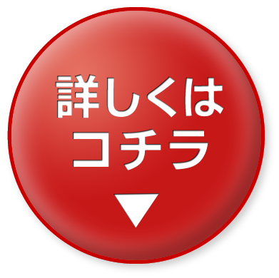 お得に試してみる