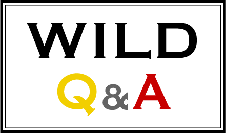 WILD Q&A