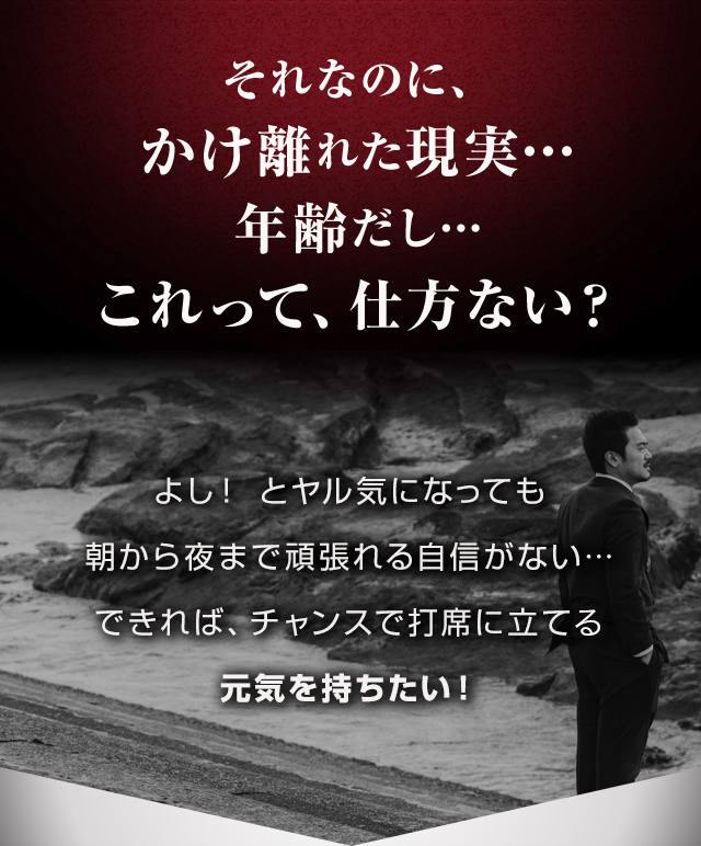 それなのに、かけ離れた現実…年齢だし…これって、仕方ない？よし！ とヤル気になっても朝から夜まで頑張れる自信がない…できれば、チャンスで打席に立てた元気を持ちたい！