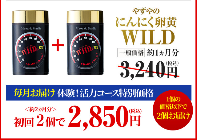やずやのにんにく卵黄WILD 一般価格 約1ヶ月分3,240円（税込） 毎月お届け 体験！活力コース特別価格＜約2ヵ月分＞初回2個で2,850円（税込）1個の価格以下で2個お届け