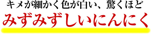 みずみずしいにんにく