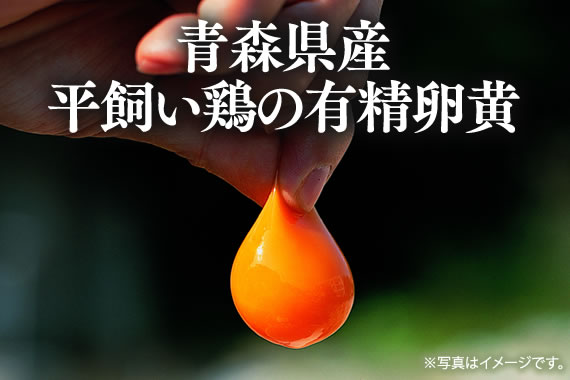 新鮮な青森県産平飼い鶏の有精卵黄