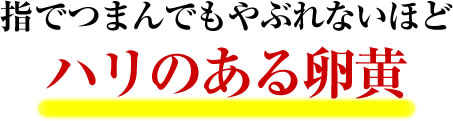 指でつまんでもやぶれないほどハリのある卵黄