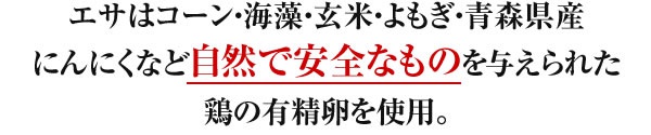 エサはコーン・海藻・玄米・よもぎ・青森県産にんにくなど遺伝子組み換えをしていない自然のものばかりを与えられた鶏の有精卵を使用。