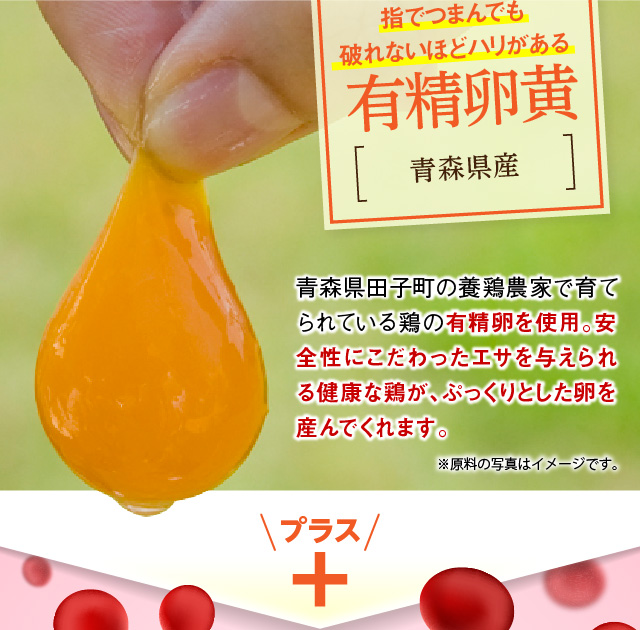 たんぱく質・ビタミン・有精卵黄 新鮮・安全な青森県産 ミネラルが摂れる！青森県田子町の養鶏農家で育てられている鶏の有精卵を使用。安全性にこだわった自然なエサを与えられる健康な鶏が、ぷっくりとした卵を産んでくれます。
