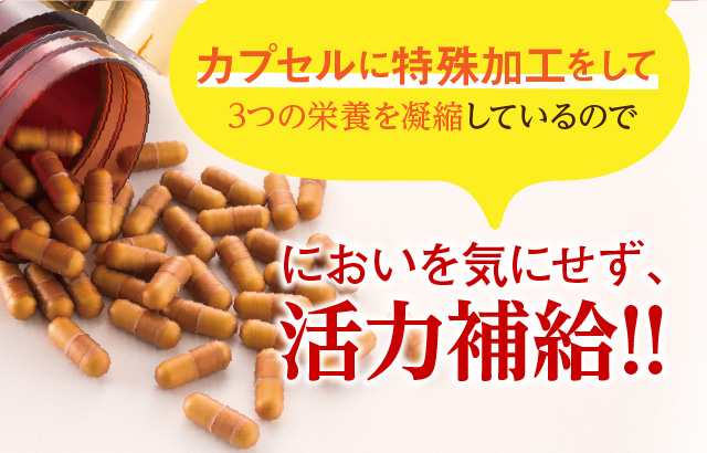 特殊加工したカプセル3つの栄養を凝縮しているのでにおいを気にせず、活力補給!!