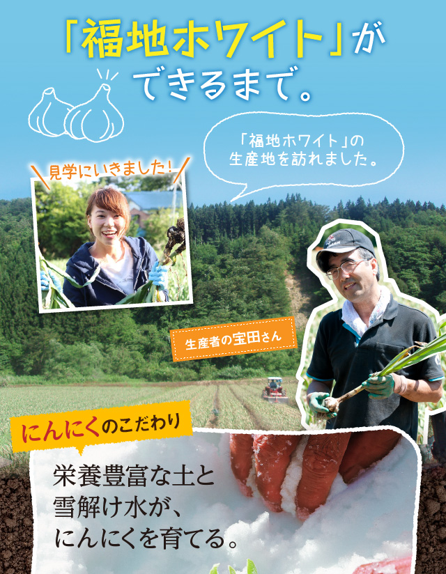 「福地ホワイト六片」ができるまで。「福地ホワイト六片」の生産地青森県田子町を訪れました。にんにくのこだわり栄養豊富な土と雪解け水が、にんにくを育てる。