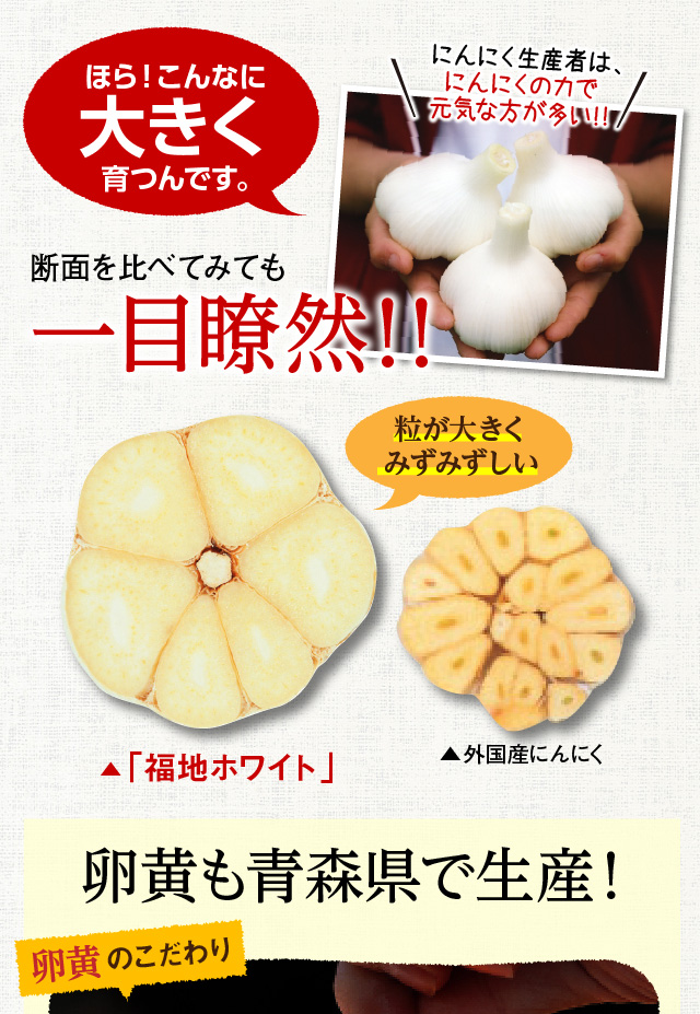 ほら！こんなに大きく育つんです。断面を比べてみても一目瞭然！！