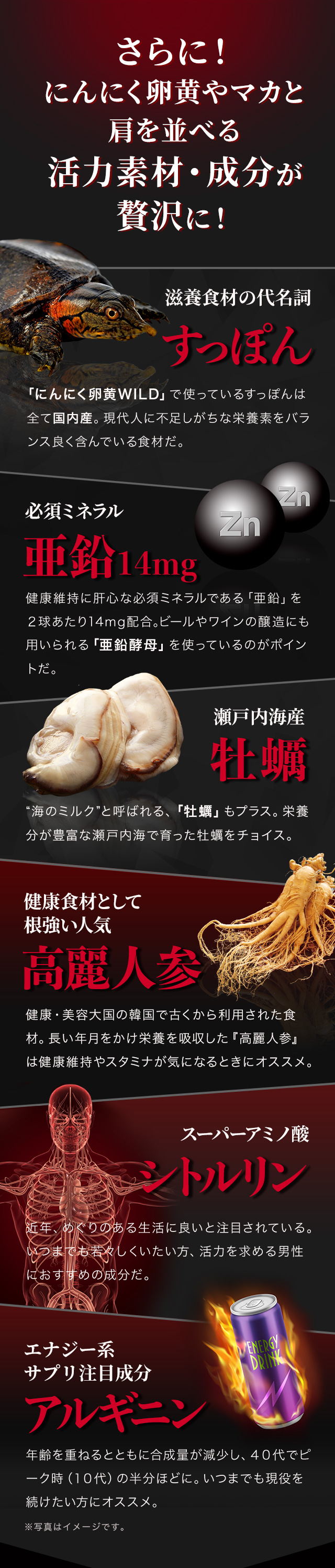 さらに！にんにく卵黄やマカと肩を並べる活力素材・成分が贅沢に！滋養食材の代名詞 すっぽん 「にんにく卵黄WILD」で使っているすっぽんは全て国内産。現代人に不足しがちな栄養素をバランス良く含んでいる食材だ。 必須ミネラル 亜鉛14mg 健康維持に肝心な必須ミネラルである「亜鉛」を2球めやすで14mg配合。ビールやワインの醸造にも用いられる「亜鉛酵母」を使っているのがポイントだ。瀬戸内海産牡蠣 “海のミルク”と呼ばれる、「牡蠣エキス」もプラス。栄養分豊富な瀬戸内海で育った牡蠣をチョイス。5つの成分・素材をいっぺんに！分厚い力の源！ 健康食材として根強い人気 高麗人参健康・美容大国の韓国で古くから利用された食材。長い年月をかけ栄養を吸収した『高麗人参』は健康維持やスタミナが気になるときにオススメ。 スーパーアミノ酸 シトルリン 近年、めぐりのある生活に良いと注目されている。いつまでも若々しくいたい方、活力を求める男性におすすめの成分だ。 エナジー系サプリ注目成分 アルギニン 年齢を重ねるとともに合成量が減少し、40代でピーク時（10代）の半分ほどに。いつまでも現役を続けたい方にオススメ。※写真はイメージです。