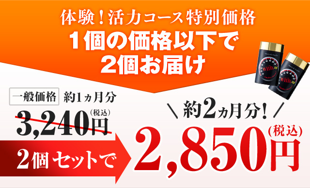 体験！活力コース特別価格 1個の価格以下で2個お届け 一般価格約1ヵ月分3,240円（税込） 2個セットで約2ヵ月分！2,850円（税込）