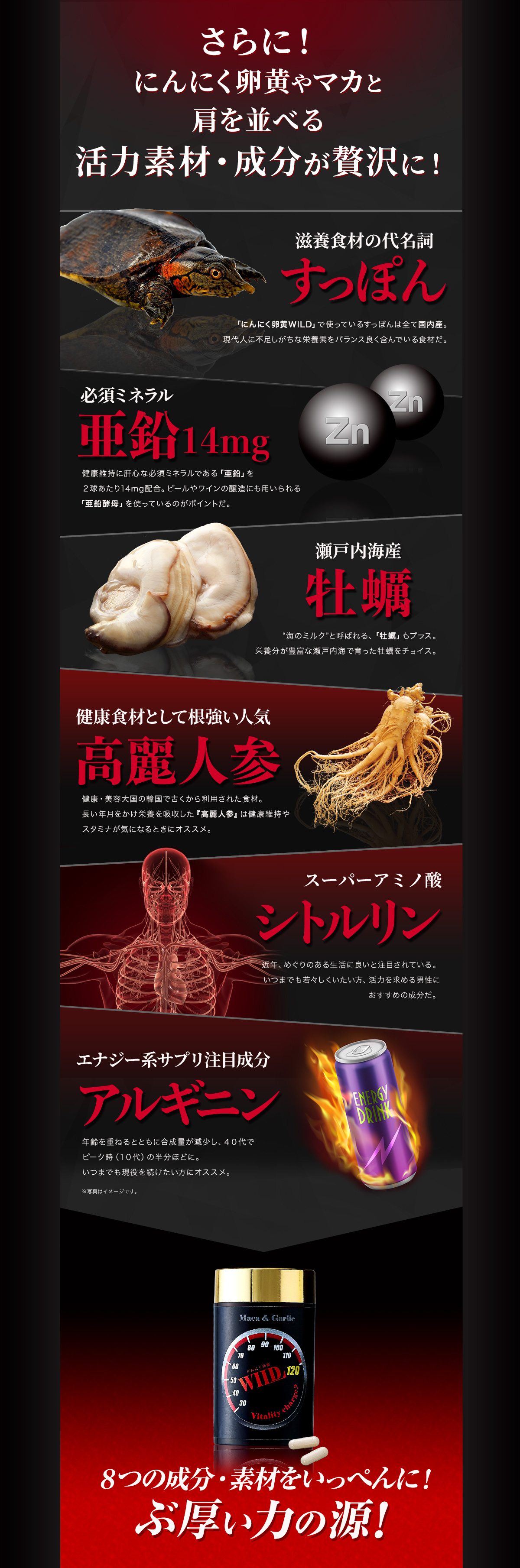 さらに!にんにく卵黄やマカと肩を並べる活力素材・成分が贅沢に!滋養食材の代名詞 すっぽん 「にんにく卵黄WILD」で使っているすっぽんは全て国内産。現代人に不足しがちな栄養素をバランス良く含んでいる食材だ。 必須ミネラル 亜鉛14mg 健康維持に肝心な必須ミネラルである「亜鉛」を2球めやすで14mg配合。ビールやワインの醸造にも用いられる「亜鉛酵母」を使っているのがポイントだ。瀬戸内海産牡蠣 “海のミルク”と呼ばれる、「牡蠣エキス」もプラス。栄養分豊富な瀬戸内海で育った牡蠣をチョイス。5つの成分・素材をいっぺんに!分厚い力の源! New 健康食材として根強い人気 高麗人参 健康・美容大国の韓国で古くから利用された食材。長い年月をかけ栄養を吸収した『高麗人参』は健康維持やスタミナが気になるときにオススメ。 New スーパーアミノ酸 シトルリン 近年、めぐりのある生活に良いと注目されている。いつまでも若々しくいたい方、活力を求める男性におすすめの成分だ。 New エナジー系サプリ注目成分 アルギニン 年齢を重ねるとともに合成量が減少し、40代でピーク時(10代)の半分ほどに。いつまでも現役を続けたい方にオススメ。※写真はイメージです。8つの素材・成分をいっぺんに!ぶ厚い力の源!