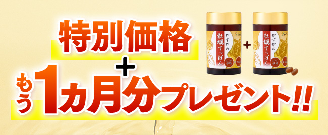 特別価格＋もう1ヵ月分プレゼント!!