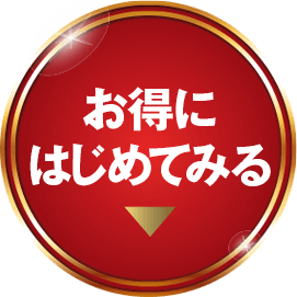 お得にはじめてみる