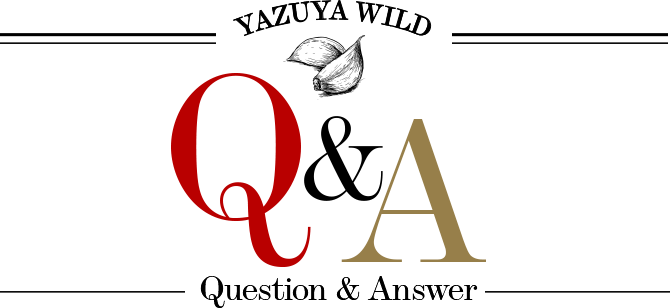 WILD Q&A