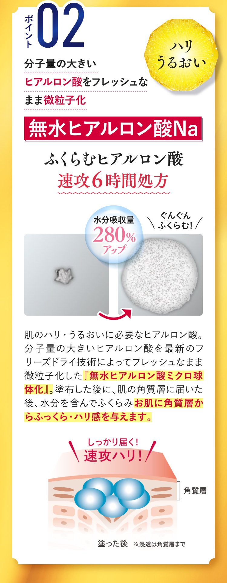 ポイント02[ハリうるおい] 分子量の大きいヒアルロン酸をフレッシュなまま微粒子化【無水ヒアルロン酸Na】 ふくらむヒアルロン酸、速攻６時間処方 水分吸収量280%アップ(ぐんぐんふくらむ!) 肌のハリ・うるおいに必要なヒアルロン酸。分子量の大きいヒアルロン酸を最新のフリーズドライ技術によってフレッシュなまま微粒子化した『無水ヒアルロン酸ミクロ球体化』。塗布した後に、肌の角質層に届いた後、水分を含んでふくらみお肌に角質層からふっくら・ハリ感を与えます。