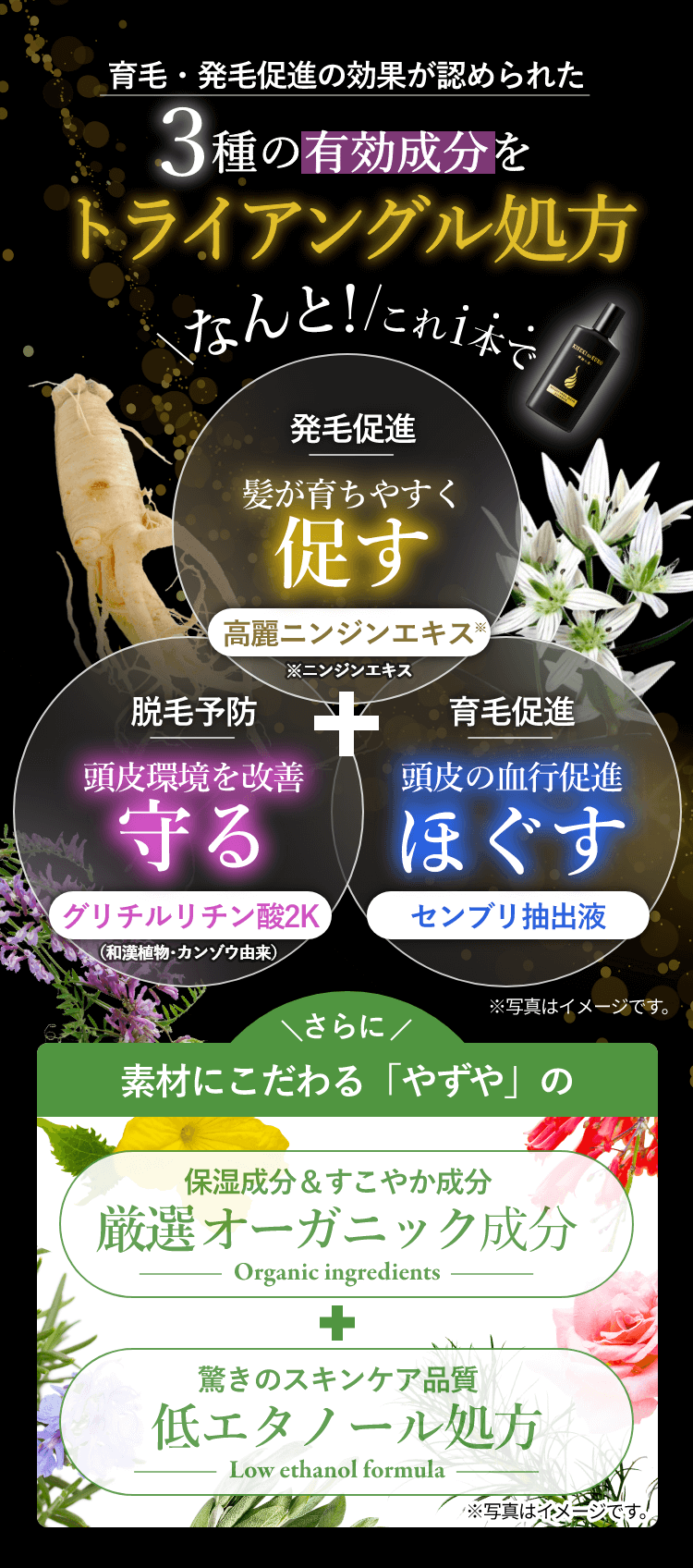 育毛・発毛促進の効果が認められた3種の有効成分をトライアングル処方