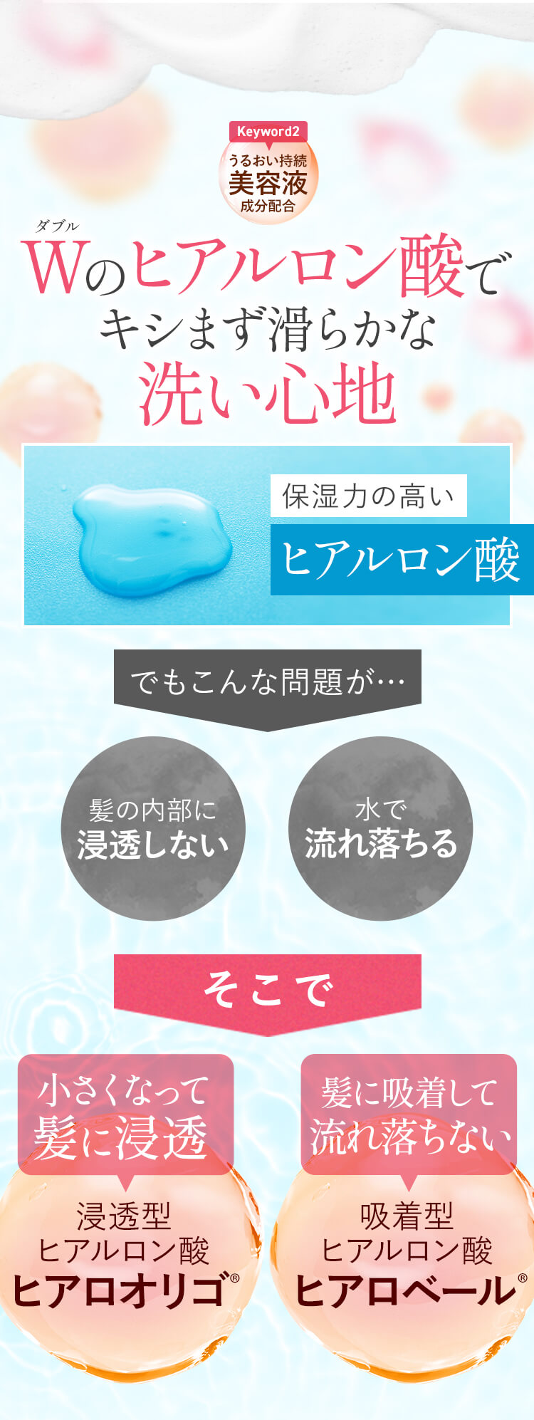 Keyword2[うるおい持続美容液成分配合] W（ダブル）のヒアルロン酸でキシまず滑らかな洗い心地 保湿力の高いヒアルロン酸 でもこんな問題が・・・ 「髪の内部に浸透しない」「水で流れ落ちる」そこで [小さくなって髪に浸透 浸透型ヒアルロン酸 ヒアロオリゴ®][髪に吸着して流れ落ちない 吸着型ヒアルロン酸 ヒアロベール®]
