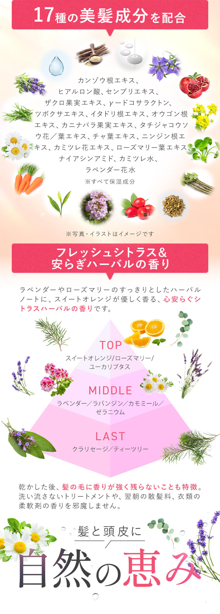 17種の美髪成分を配合 カンゾウ根エキス、ヒアルロン酸、センブリエキス、ザクロ果実エキス、γードコサラクトン、ツボクサエキス、イタドリ根エキス、オウゴン根エキス、カニナバラ果実エキス、タチジャコウソウ花／葉エキス、チャ葉エキス、ニンジン根エキス、カミツレ花エキス、ローズマリー葉エキス、ナイアシンアミド、カミツレ水、ラベンダー花水（※すべて保湿成分）（※写真・イラストはイメージです） フレッシュシトラス&安らぎハーバルの香り ラベンダーやローズマリーのすっきりとしたハーバルノートに、スイートオレンジが優しく香る、心安らぐシトラスハーバルの香りです。[TOP スイートオレンジ/ローズマリー/ユーカリプタス・MIDDLE ラベンダー／ラバンジン／カモミール／ゼラニウム・LAST クラリセージ／ティーツリー] 乾かした後、髪の毛に香りが強く残らないことも特徴。洗い流さないトリートメントや、翌朝の散髪料、衣類の柔軟剤の香りを邪魔しません。 髪と頭皮に自然の恵み