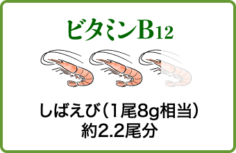 ビタミンB12